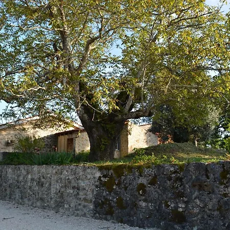 Casa Da Pedra Villa Anciao Exterior photo