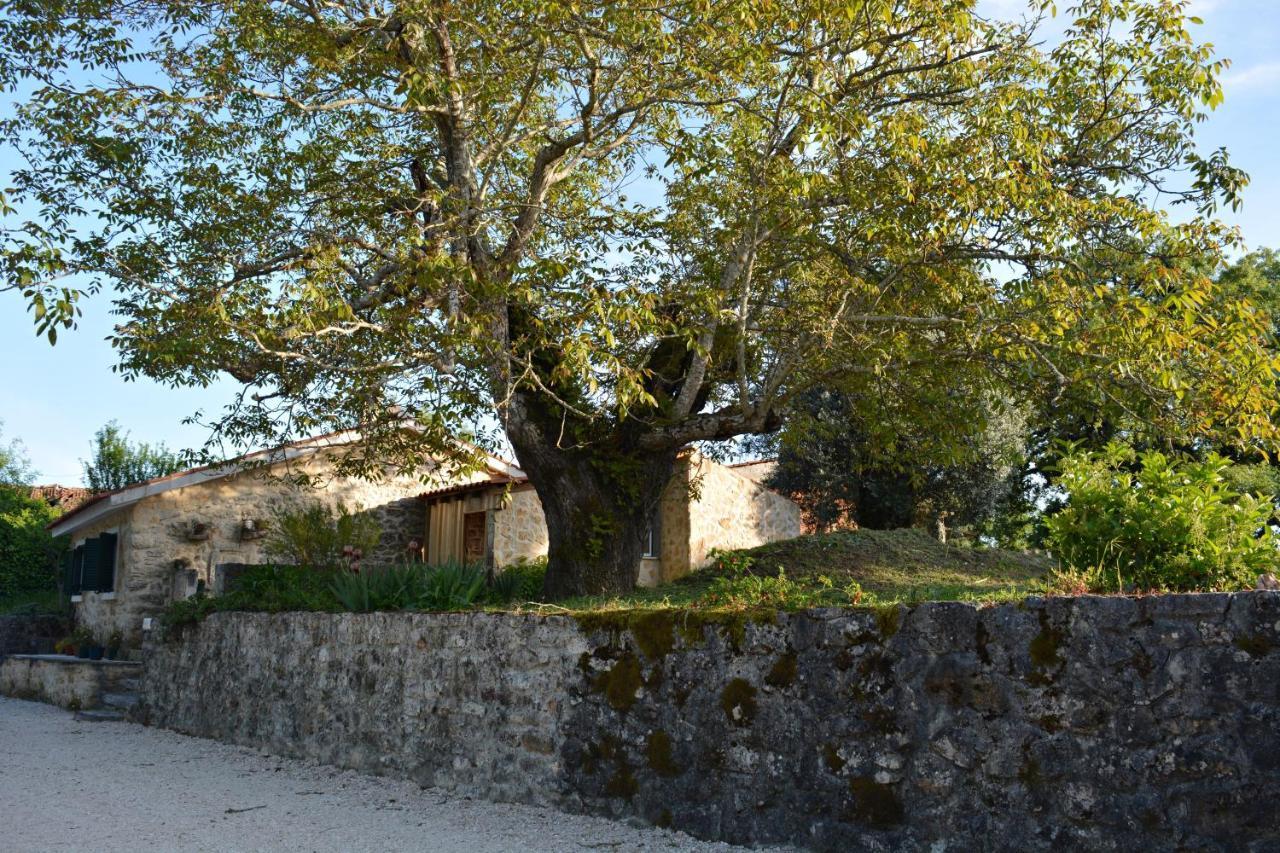 Holiday home Casa Da Pedra