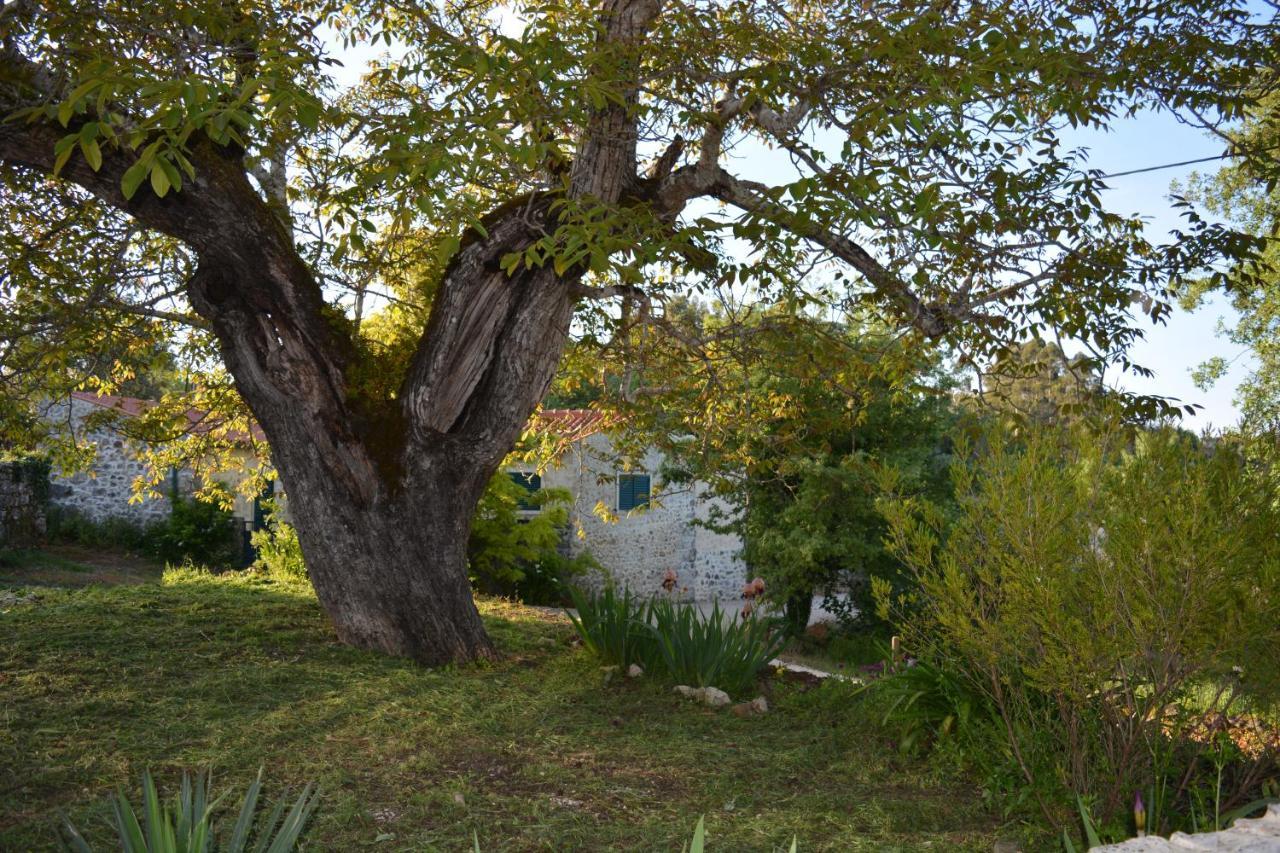 Casa Da Pedra *